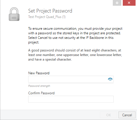 Figure 3. Project – Set Password.